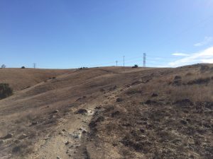 Looking up the Rocky Ridge - Possibly the toughest climb in the park.