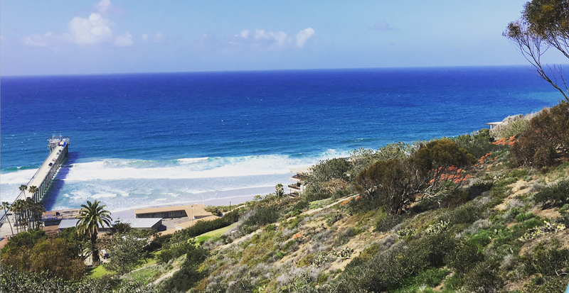 San Diego trip – Coda