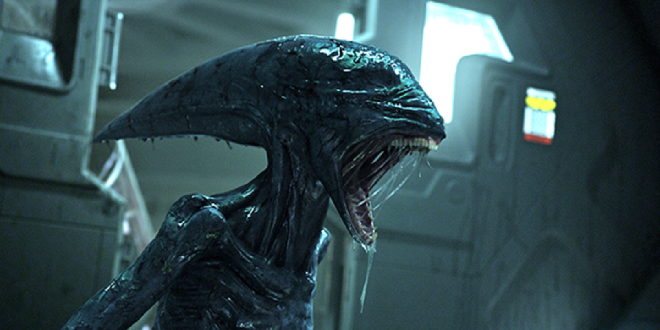 Alien movie observations